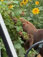 IMG_3160.jpeg