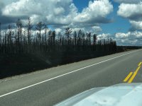 IMG_1719.jpeg IMG_1719.jpeg