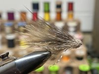 IMG_1626.jpeg