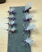 IMG_2197.jpeg