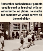 1750600505330.png