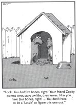 FB_IMG_1750617472530.jpg