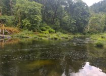 IMG_1631.jpeg
