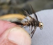 20250622_buggeredHE.jpg