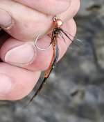 20250622_abusedcraw.jpg