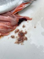 IMG_2965.jpeg IMG_2965.jpeg