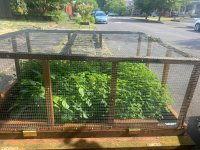 IMG_7464.jpeg IMG_7464.jpeg