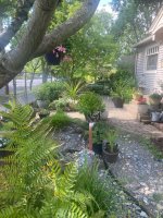 IMG_7463.jpeg IMG_7463.jpeg
