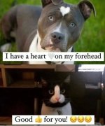 IMG_2875.jpeg