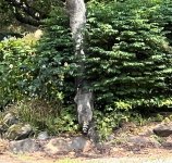 IMG_2874.jpeg