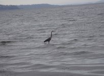 IMG_2879.jpeg