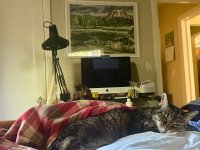 IMG_7476.jpeg