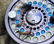 20250625_flies.jpg 20250625_flies.jpg