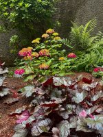 IMG_1328.jpeg IMG_1328.jpeg