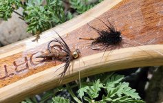 20250627_frstpairflies.jpg 20250627_frstpairflies.jpg