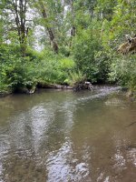 IMG_4255.jpeg