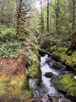 IMG_4265.jpeg