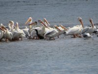 IMG_4081.JPG