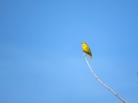 IMG_8215.JPG