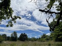 IMG_4716.jpeg