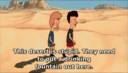 beavisandbutthead-stupid-desert.gif