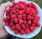 IMG_2933.jpeg