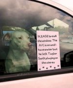 IMG_2935.jpeg