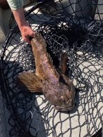 IMG_1200.jpeg