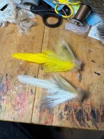 IMG_0098.jpeg