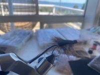Morrish Mouse.jpg