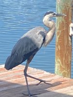 IMG_5516.jpeg