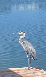 IMG_5517.jpeg