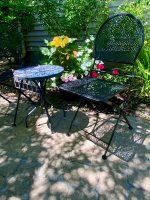 IMG_7531.jpeg