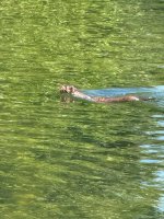IMG_0531.jpeg