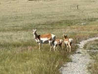 IMG_4263.jpg