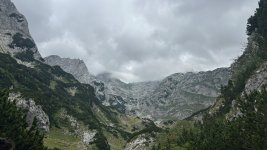 IMG_8614.jpg