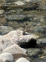IMG_6528.jpeg