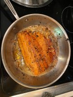 IMG_7536.jpeg