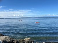 IMG_2979.jpeg