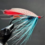 Searuns52