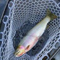 frozencutty11