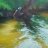LeoCreek