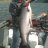 Salmonslaye
