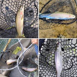 My Fishing adventures