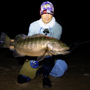 Cubera Snapper