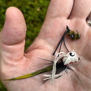 IMG_6816.jpeg