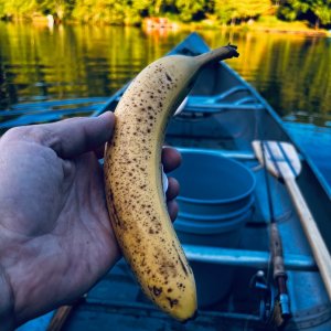 IMG_6828.jpeg