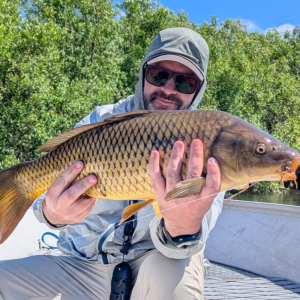 June 2026 Carp