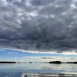 IMG_6004.jpeg