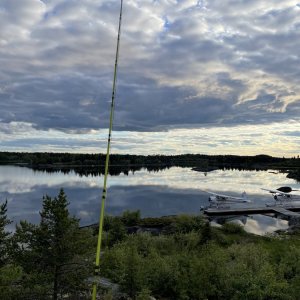 IMG_6002.jpeg